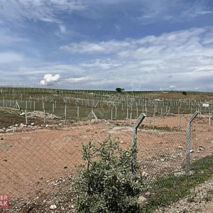 KEVSER EMLAK'TAN SATILIK HOBİ BAHÇESİ